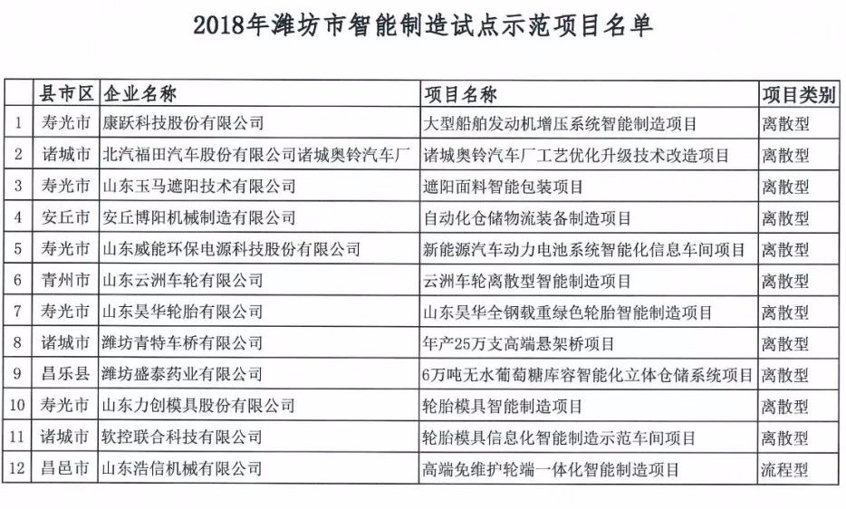 新龙集团入选2018年潍坊市智能制造试点示范项目名单