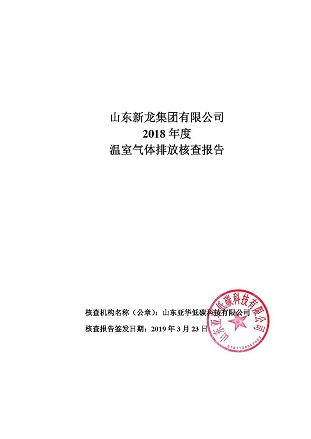 山东新龙集团有限公司2018年核查报告_页面_1.jpg