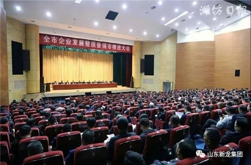 新龙集团荣获2019年潍坊市标准创新奖