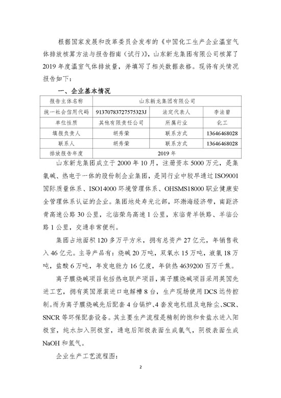 2019年-山东新龙集团有限公司-排放报告_页面_02.jpg