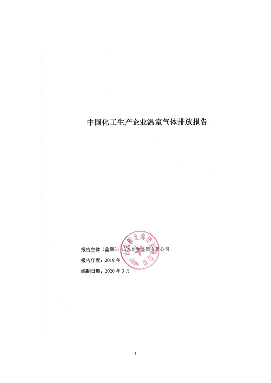 2019年-山东新龙集团有限公司-排放报告_页面_01.jpg
