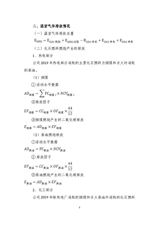 2019年-山东新龙集团有限公司-排放报告_页面_06.jpg