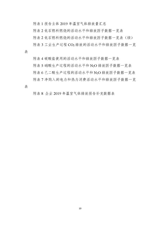 2019年-山东新龙集团有限公司-排放报告_页面_10.jpg