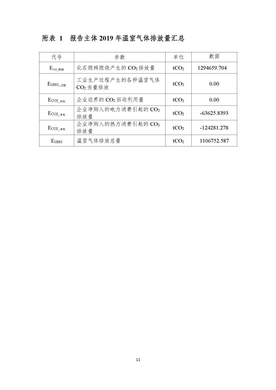 2019年-山东新龙集团有限公司-排放报告_页面_11.jpg