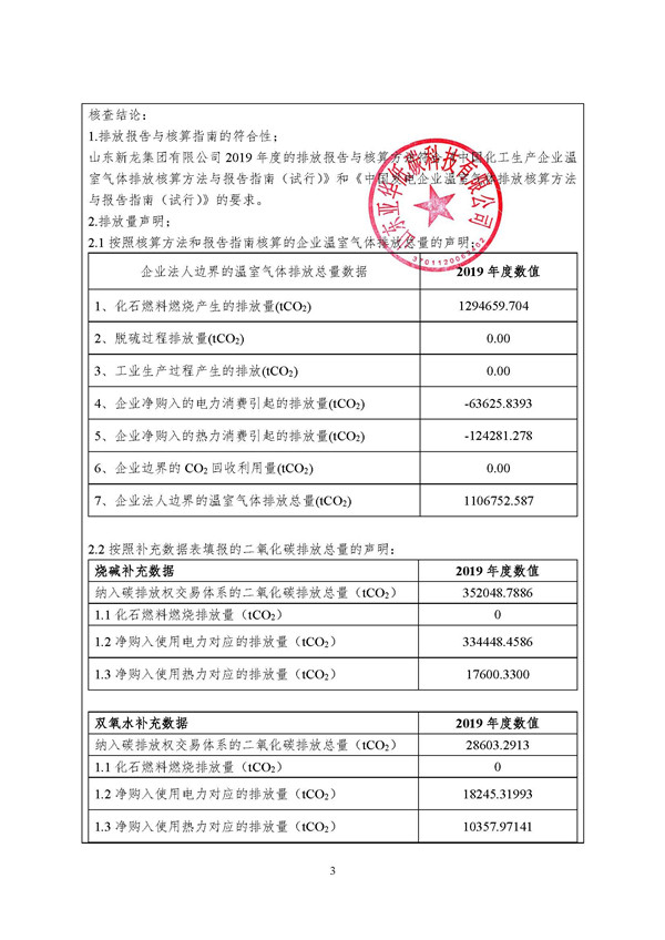 山东新龙集团有限公司-2019温室气体审核报告_页面_3.jpg