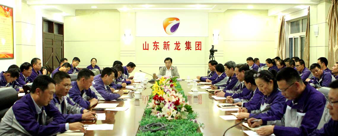 新龙集团召开2019年第三季度工作总结会议