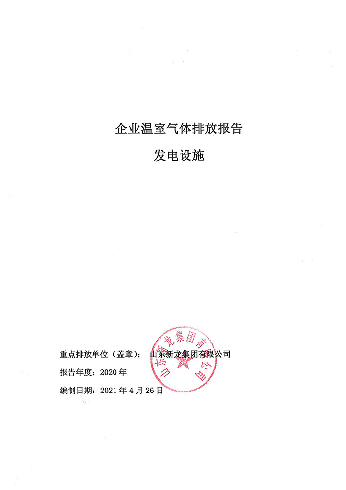 2020年年度报表