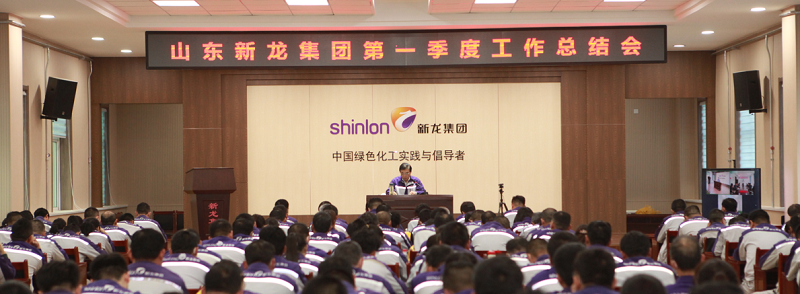 新龙集团2023年第一季度工作总结会顺利召开